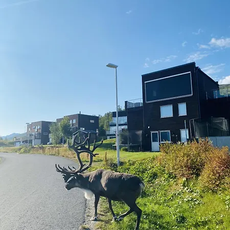 I Tromso